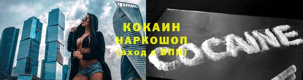 мяу мяу мука Рославль