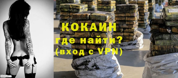 индика Алапаевск